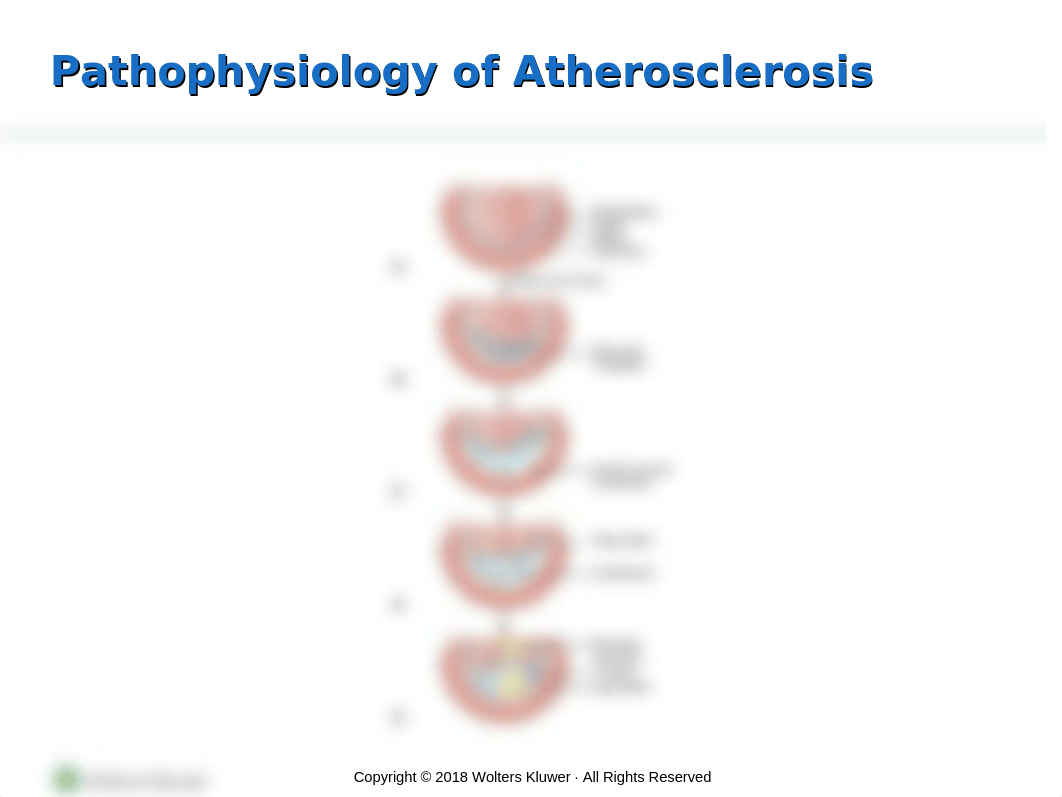 PPT_Chapter27.ppt_ddgvjc27vnq_page3