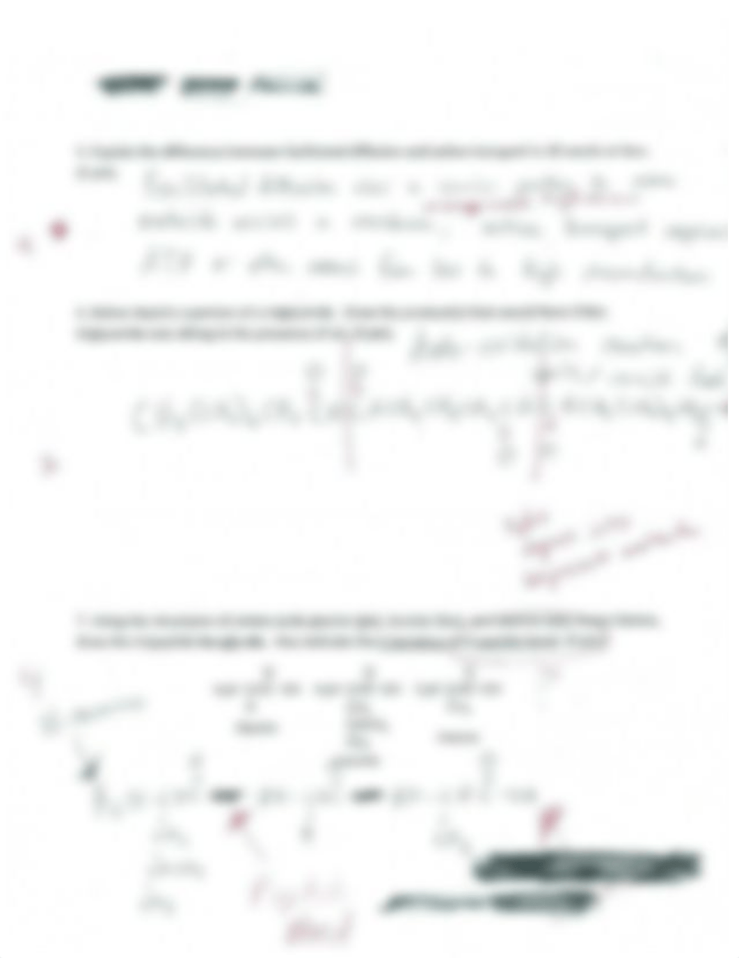 Carbohydrates lab quiz_ddgwyz4c03y_page2