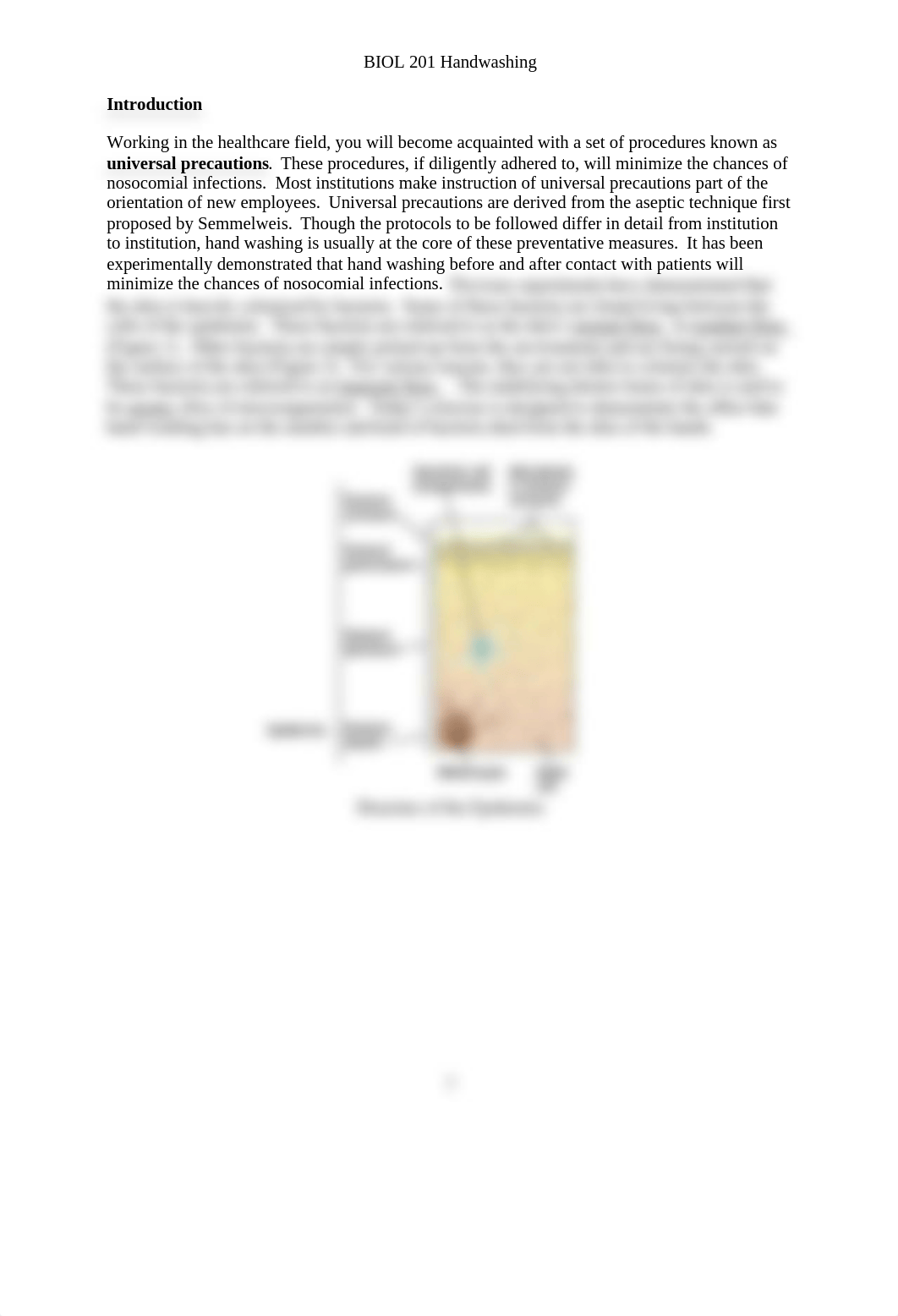 Lab Exercise 3 Hand Washing-1.docx_ddh1a9qds55_page2