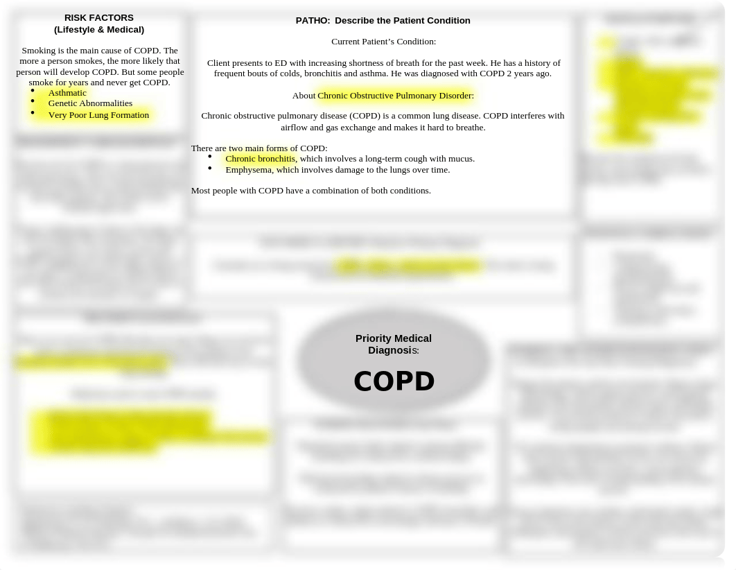 COPD Concept Map Nursing 101.doc_ddh4ewafd7v_page1