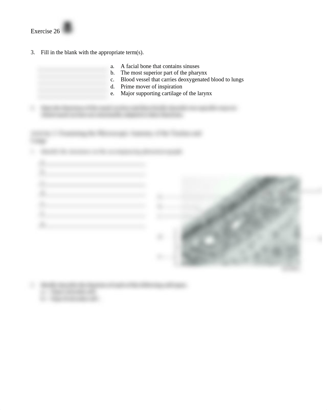 12. Unit 12 laboratory exercise 26.docx_ddh58s40n3x_page2