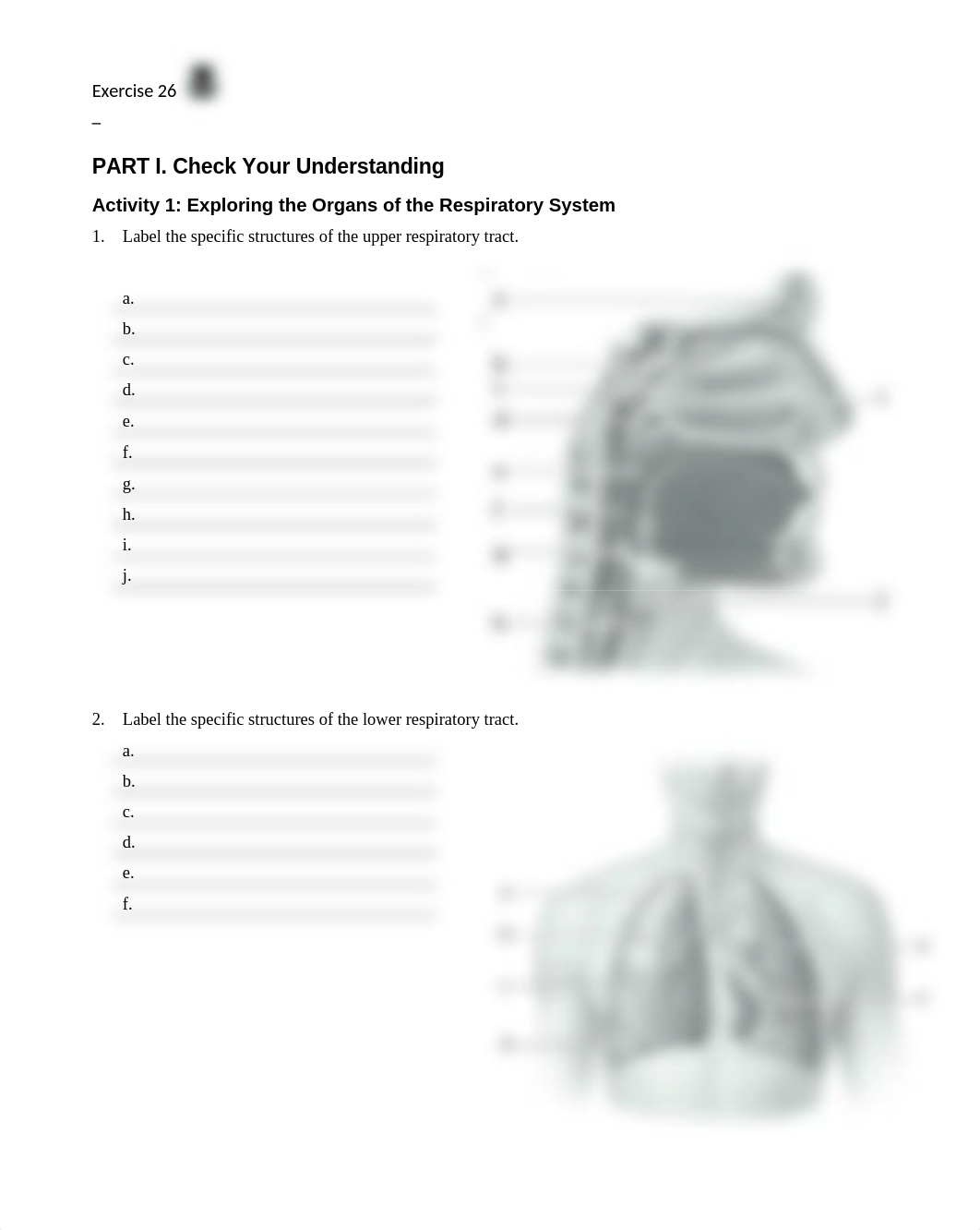 12. Unit 12 laboratory exercise 26.docx_ddh58s40n3x_page1