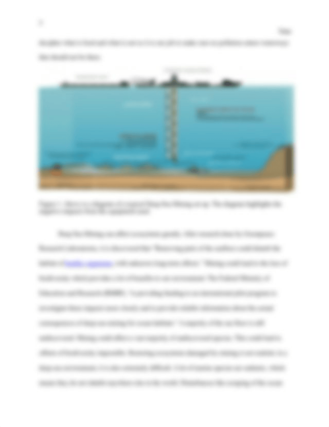 Deep Sea Mining.docx_ddh9qic7qsd_page5