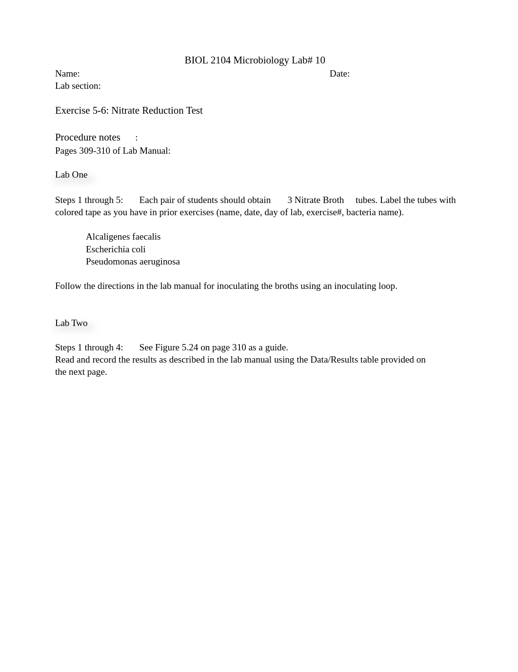 LAB 10.docx_ddham23rw5q_page1