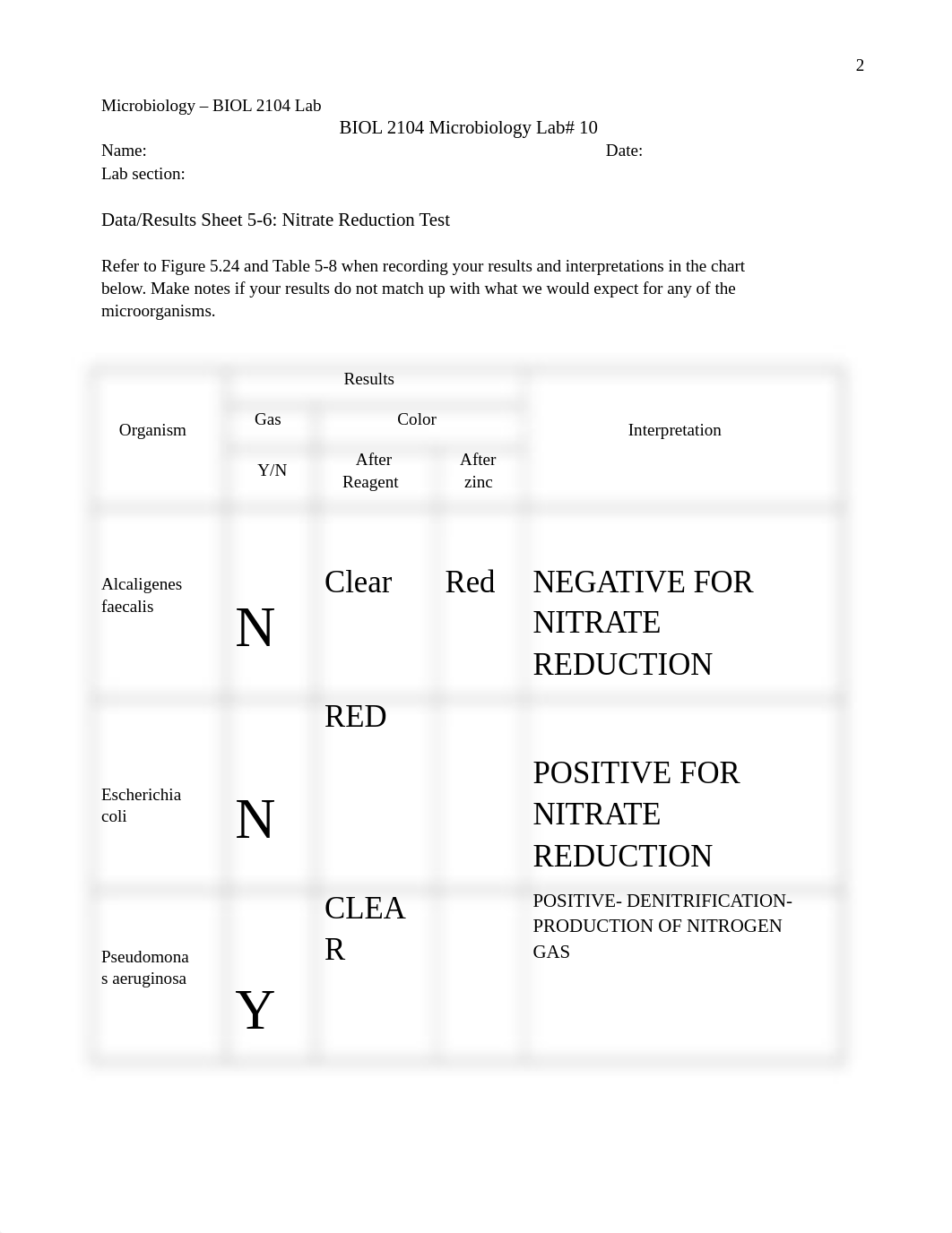 LAB 10.docx_ddham23rw5q_page2