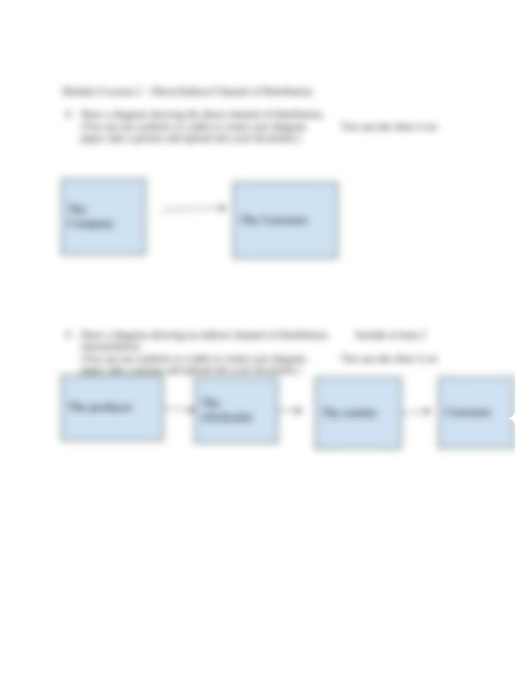 Copy of Module 6 Lesson 2 Activity - Direct and Indirect Channel of Distribution (1).docx_ddhpjvyxybf_page2