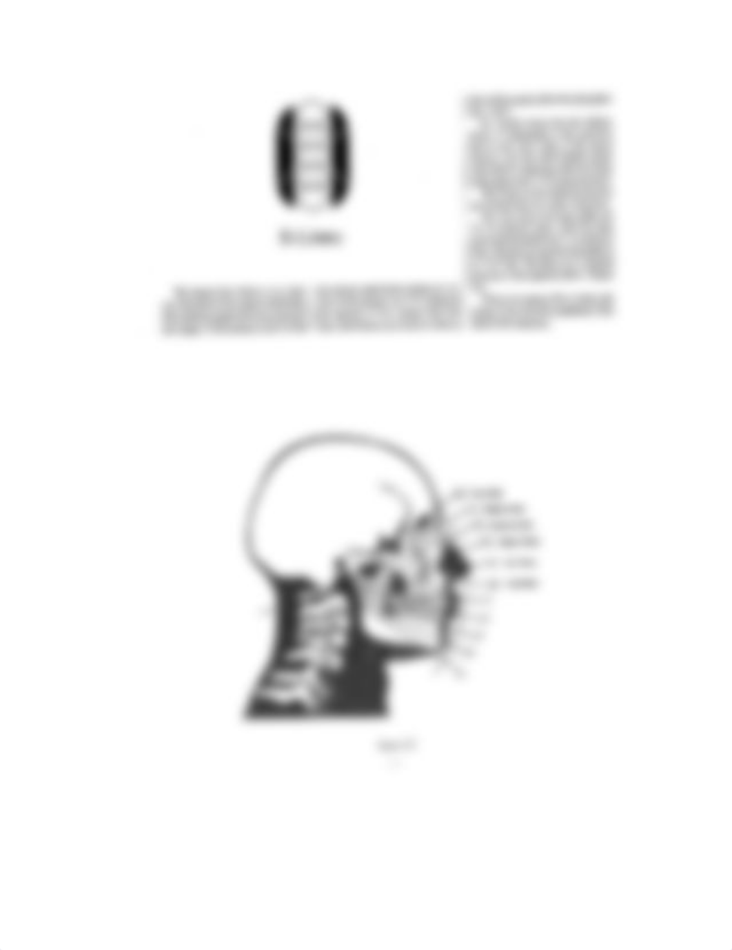 ANLS 2620 Grostic Technique X-Ray Notes_ddi09wggvl3_page3