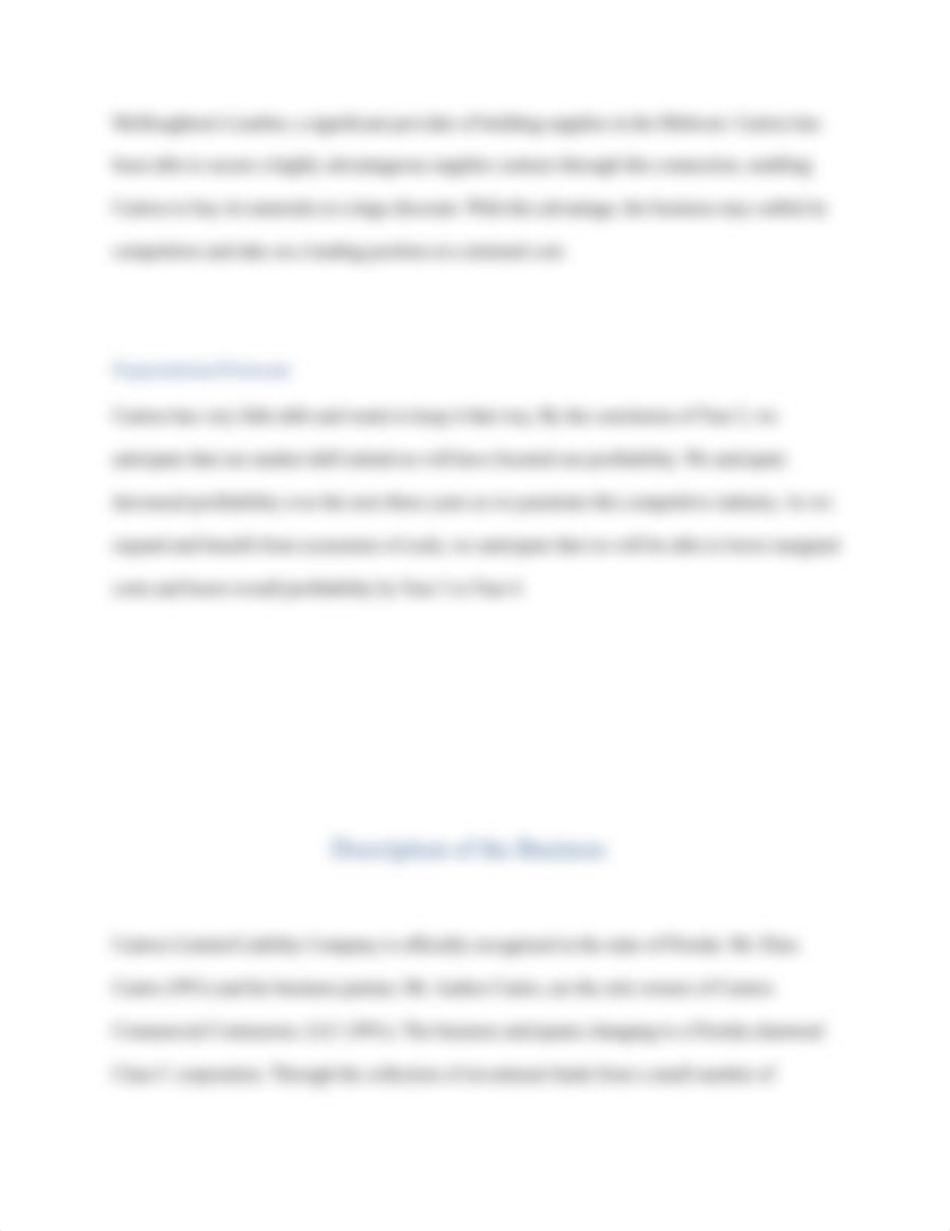 Business Plan Assignment EliasCastro.docx_ddi3ghu31xu_page5