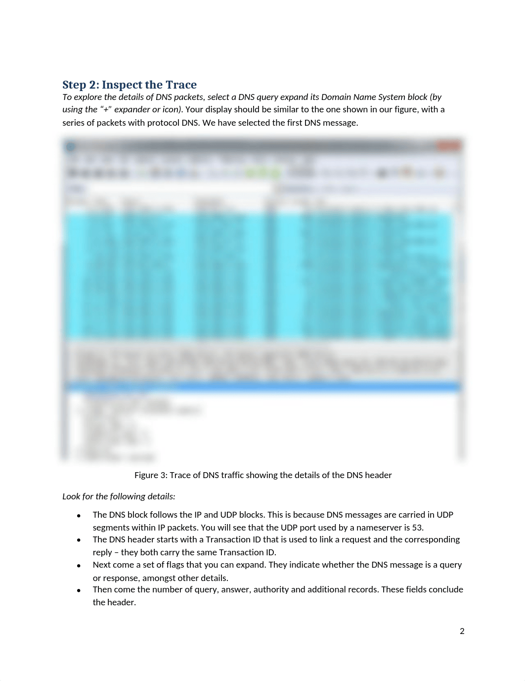 DNS answer.docx_ddi7auyrwik_page2