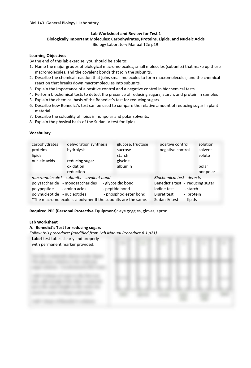 Biomolecules Worksheet and Review Test 1.pdf_ddi7qqxvcqi_page1