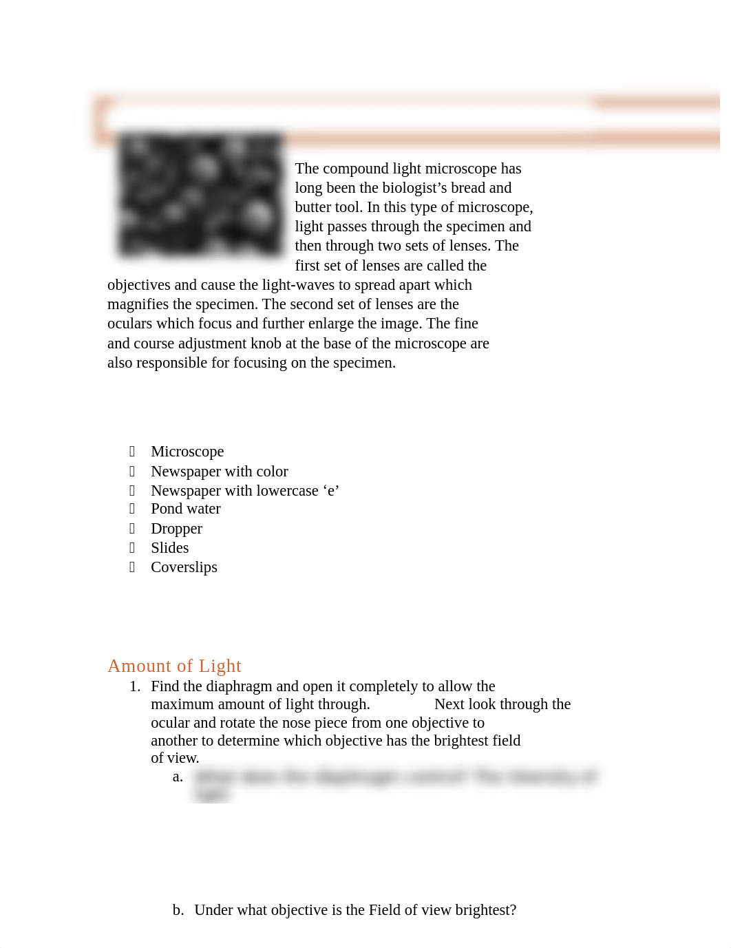 Microscopy Online Lab.docx_ddi9knywd9j_page1