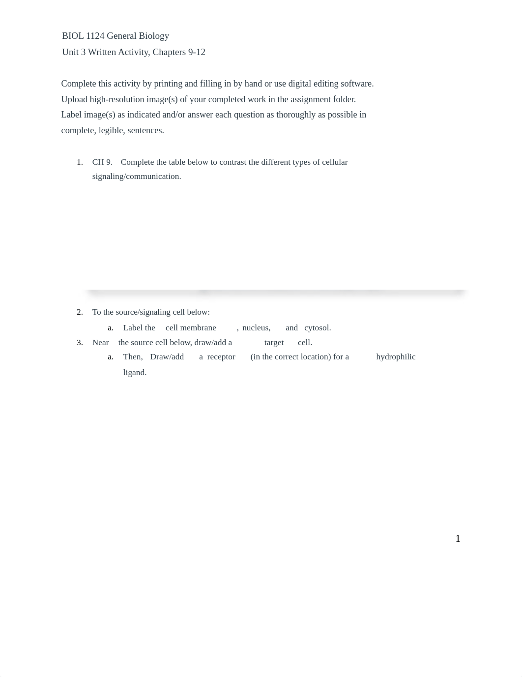 Unit 3 Written Activity.docx_ddibn64e52j_page1