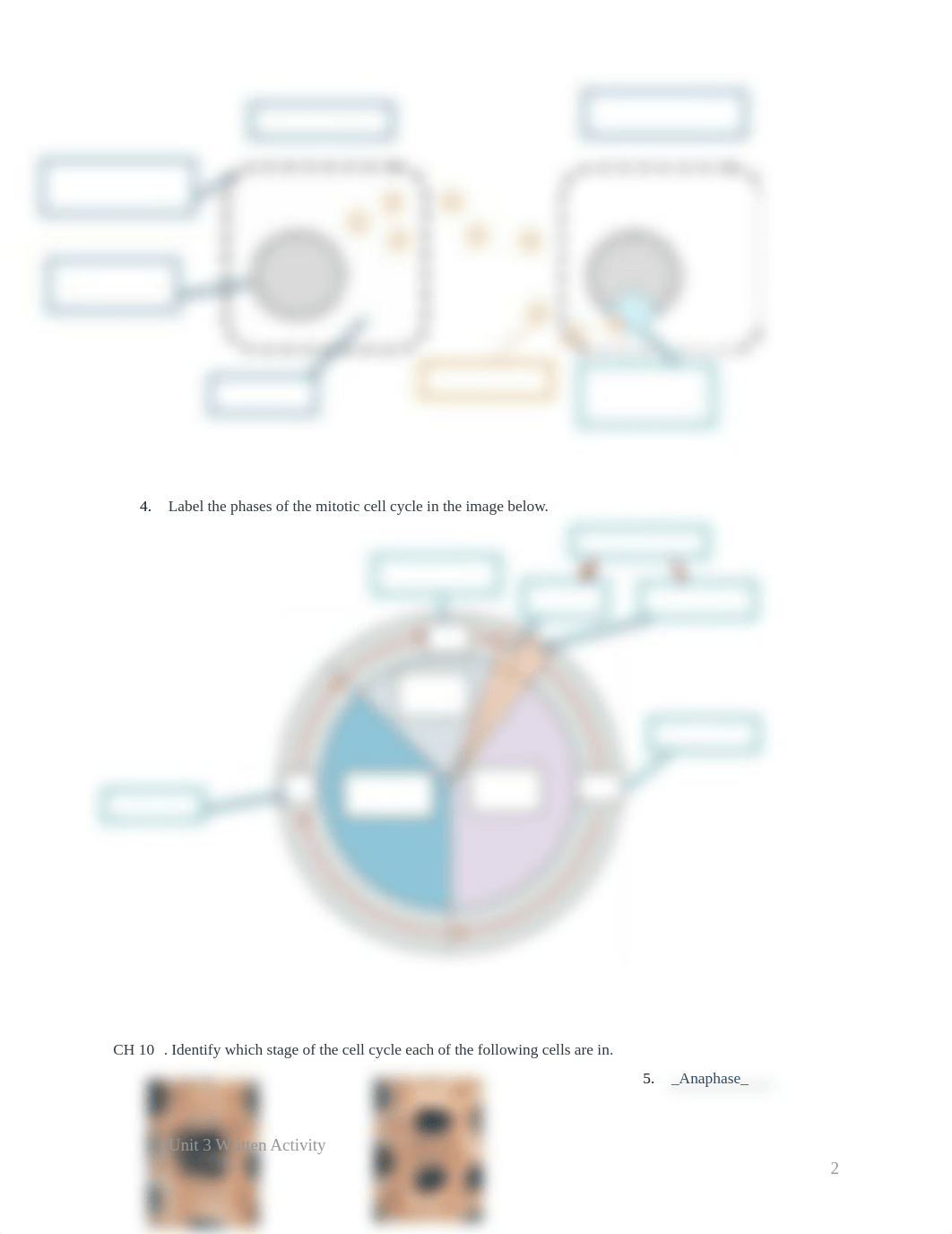 Unit 3 Written Activity.docx_ddibn64e52j_page2