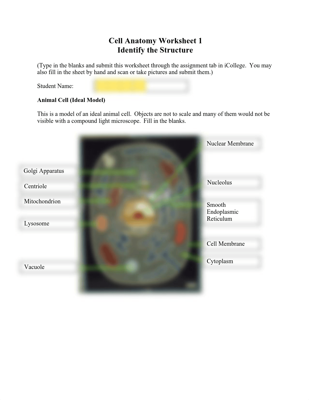 cellanatomyworksheet1v2.pdf_ddigwribge3_page1