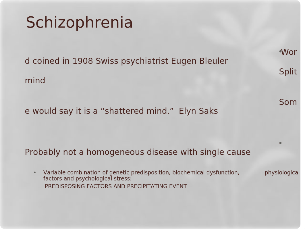 Schizophrenia Spectrum and Other Psychotic Disorders.ppt_ddiym9pd9n8_page3