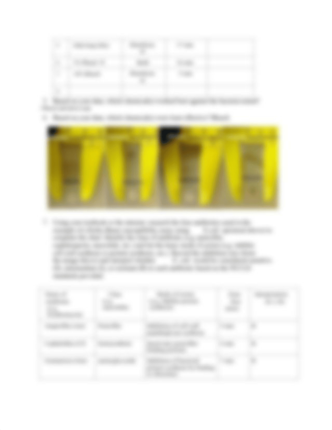 Chemical Control of Microbial Growth Data Report .pdf_ddj9bxc5bsr_page2