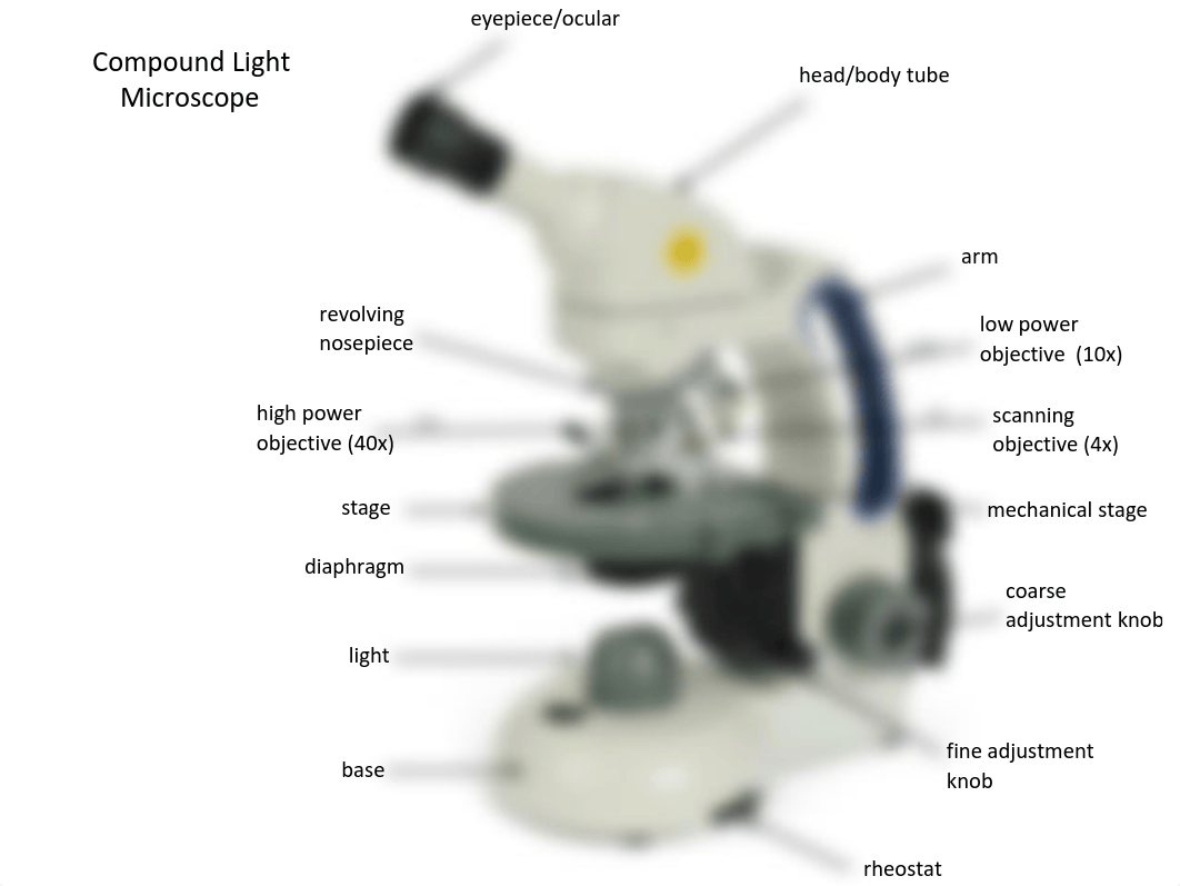 1_Microscope Review.pdf_ddjoz6ceota_page2