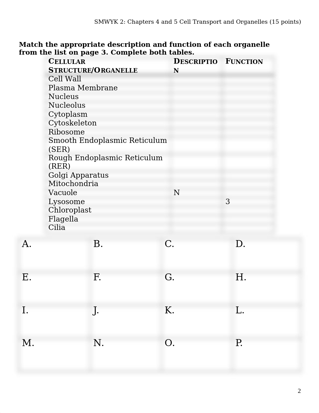 SMWYK 2-Cells.docx_ddjt4oxztui_page2