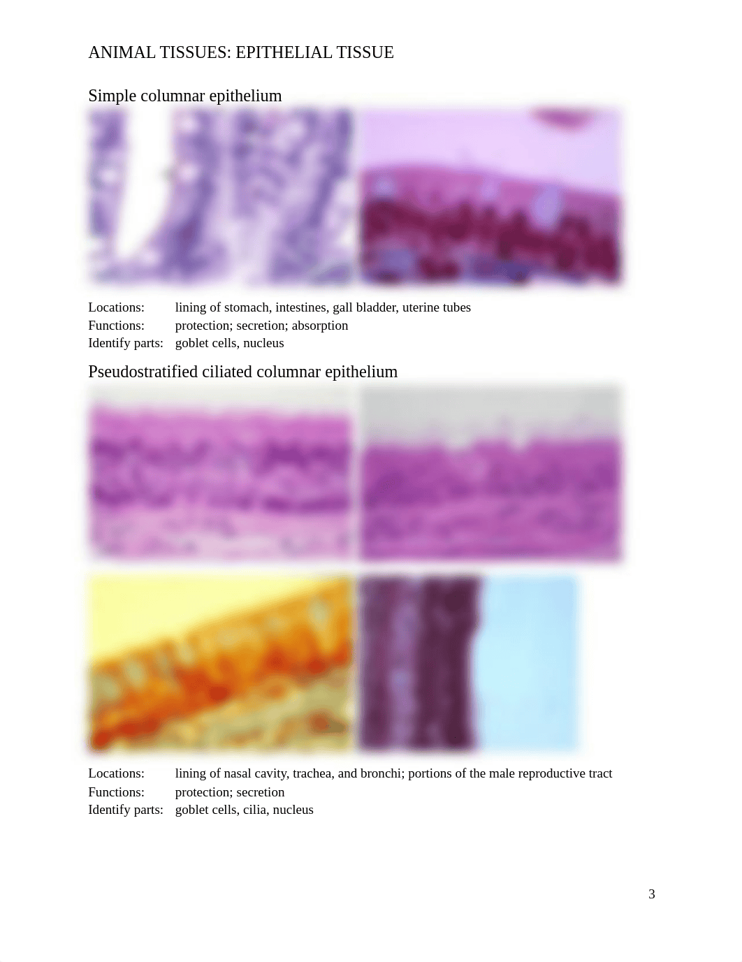 2018_ANIMAL_TISSUES copy.docx_ddk0souzjf4_page3