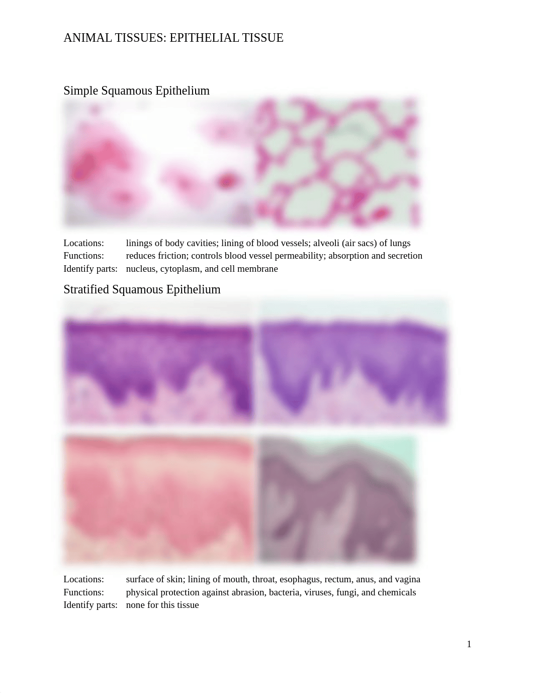 2018_ANIMAL_TISSUES copy.docx_ddk0souzjf4_page1