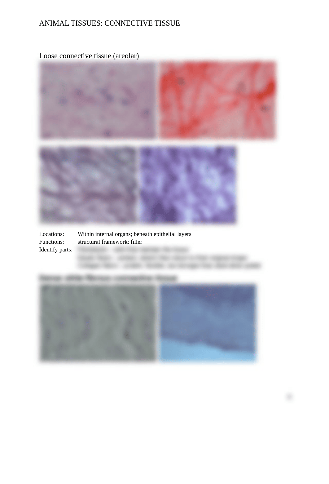 2018_ANIMAL_TISSUES copy.docx_ddk0souzjf4_page4