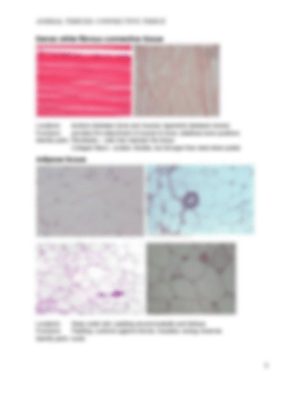 2018_ANIMAL_TISSUES copy.docx_ddk0souzjf4_page5