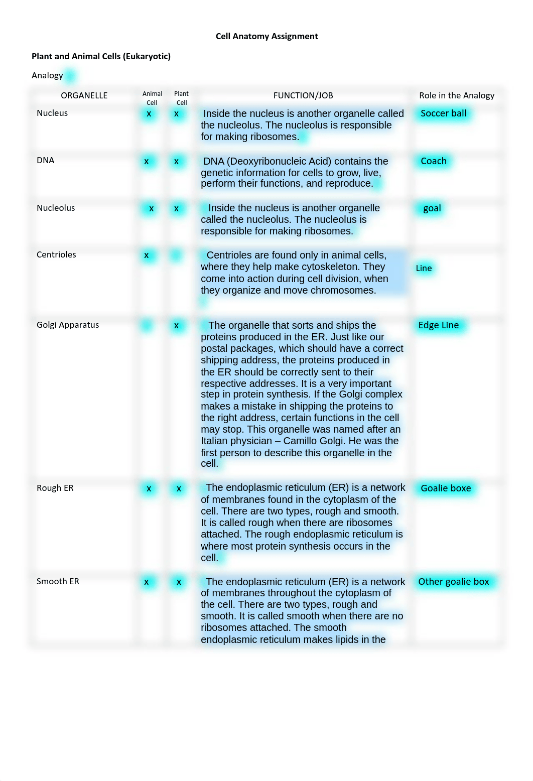 Cell_Anatomy_Assignment.pdf_ddk58ax19wx_page1