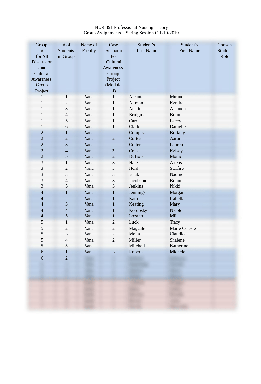 NUR 391 Group Assignments SPRING 2019 C 1-10-2019.docx_ddkjtitnx3k_page1