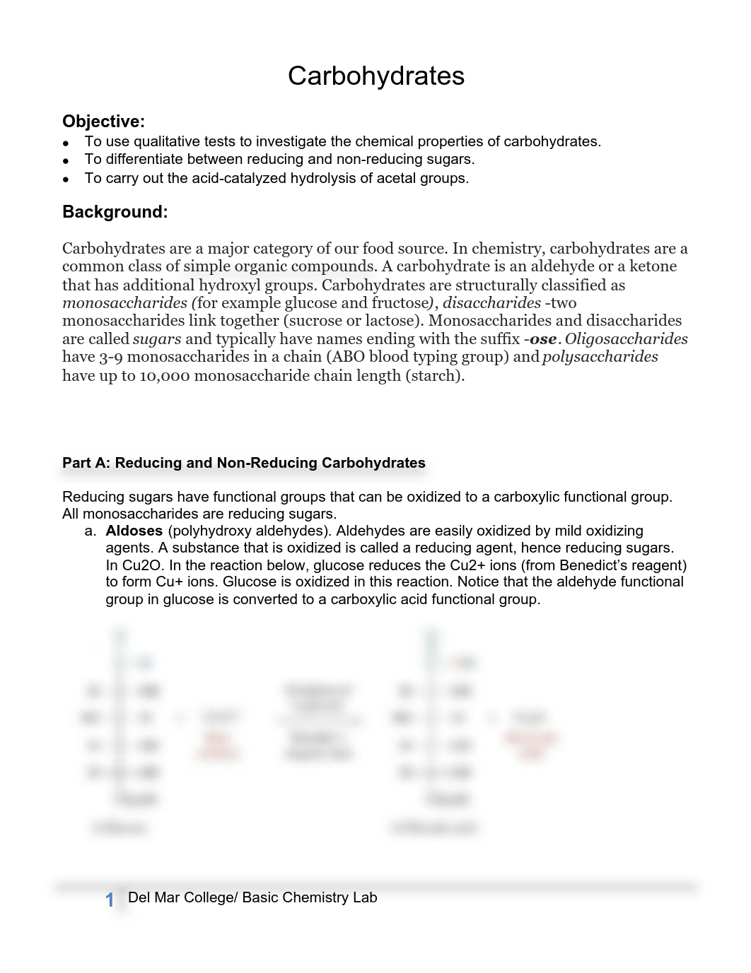 Carbohydrates Lab.pdf_ddkod4yoz8m_page1