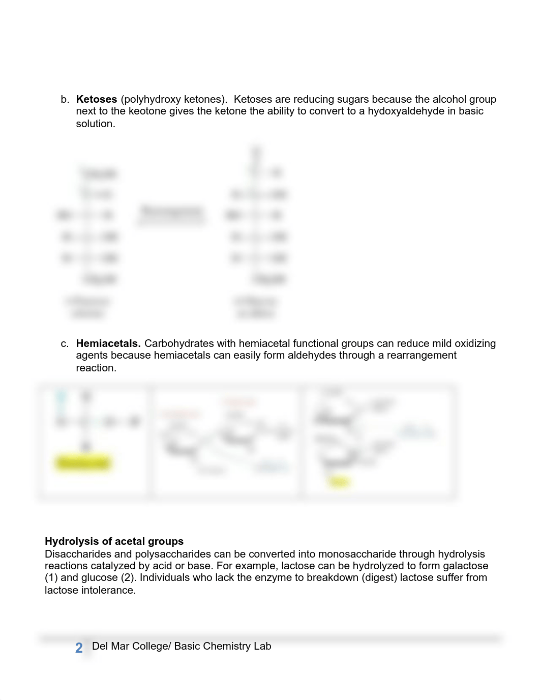 Carbohydrates Lab.pdf_ddkod4yoz8m_page2