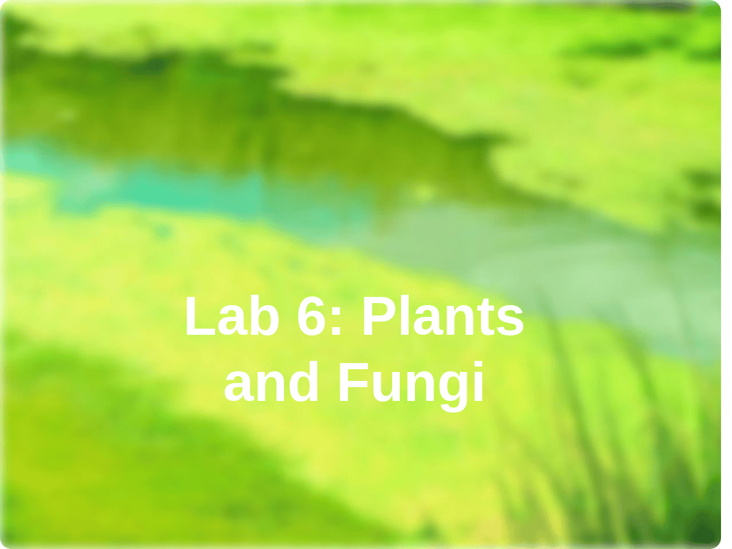 Lab 6 - Plants and Fungi.pptx_ddkte78cid7_page1