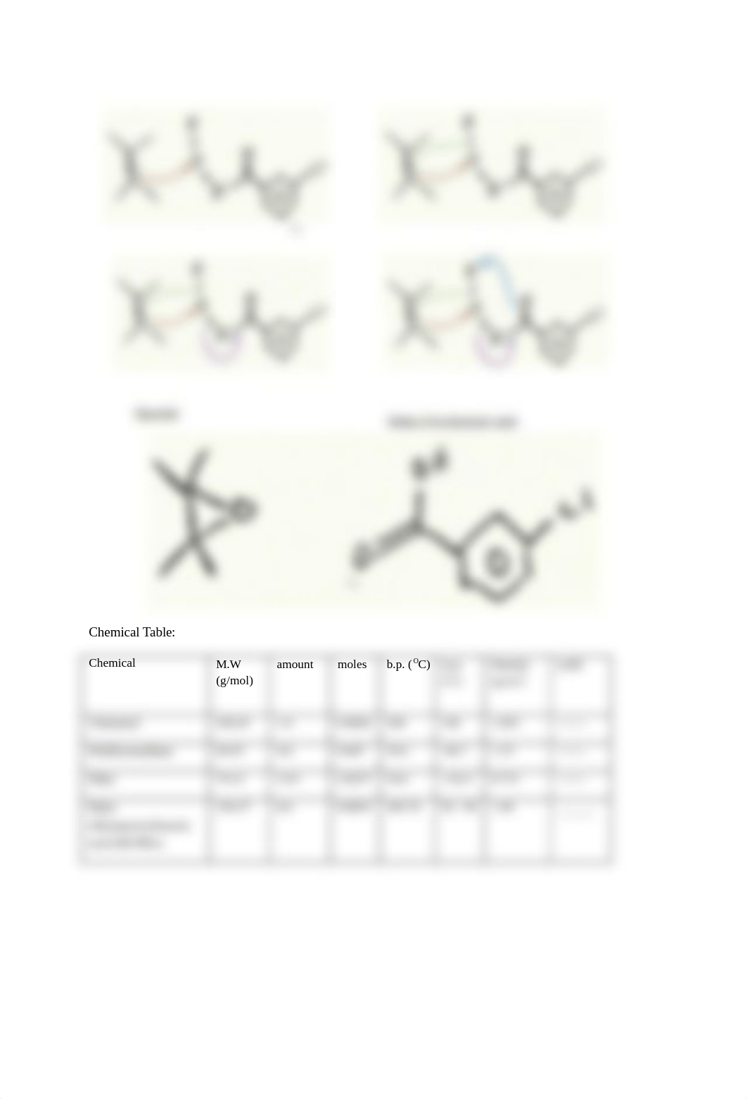 york lab report 2.docx_ddktnehwj5q_page2