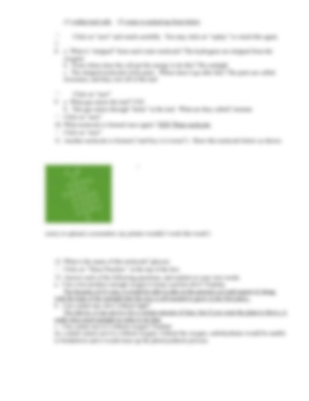 photosynthesisActivity.doc_ddku2nqjfc3_page2