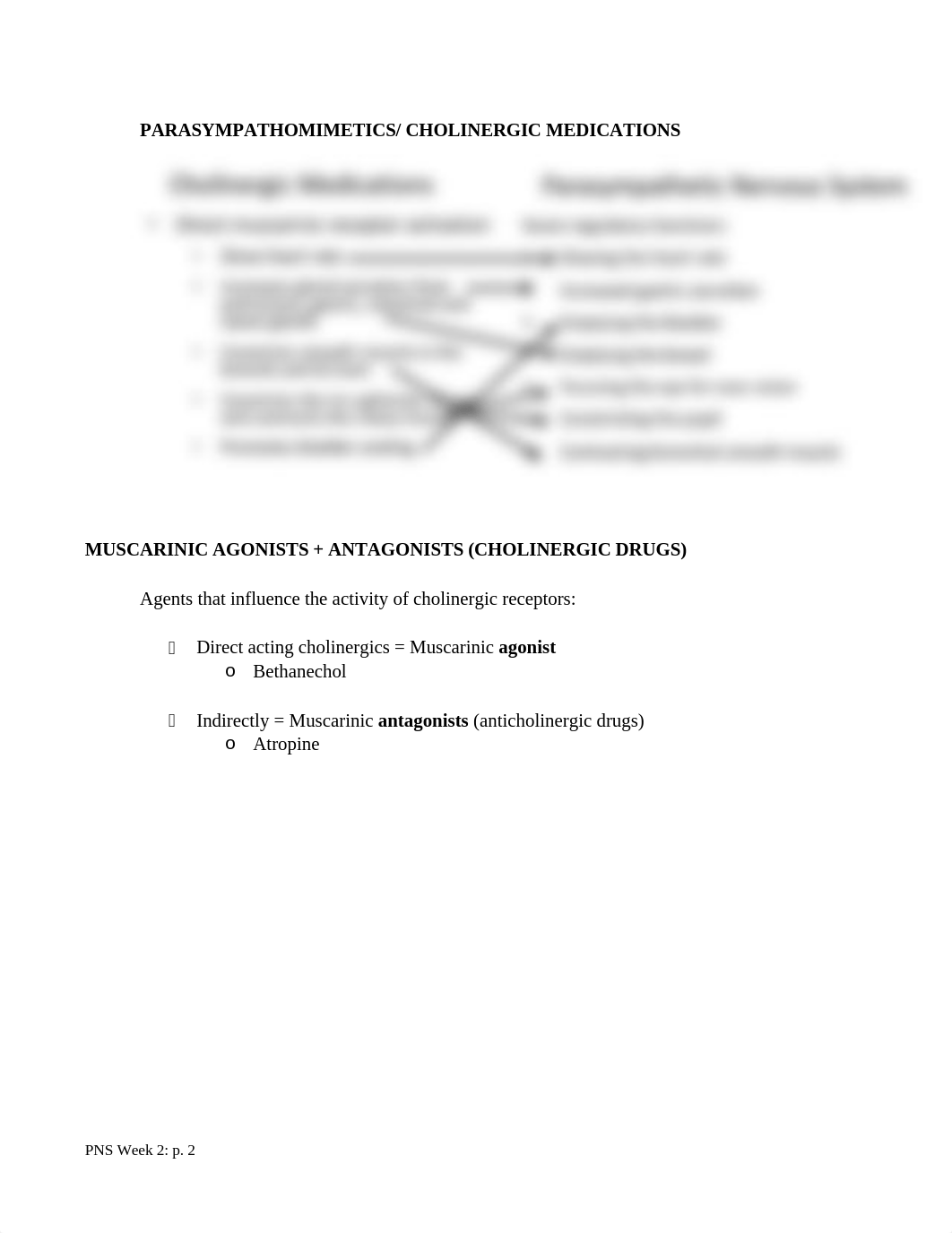 PNS diagrams ppt.docx_ddl1fngpy6v_page3