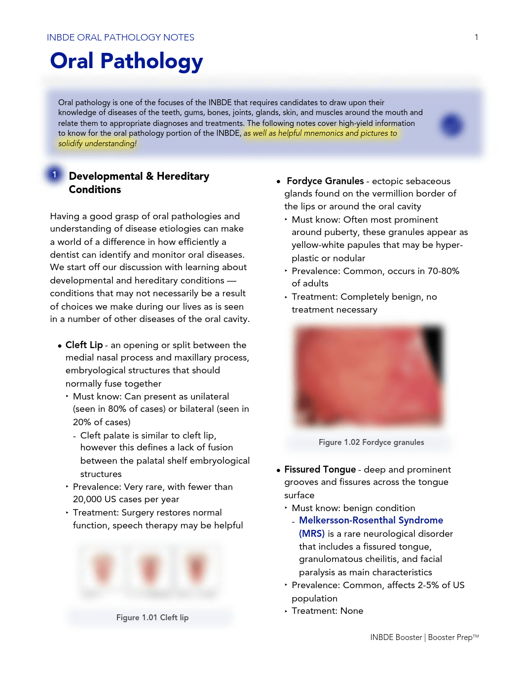 INBDEBooster Oral Pathology.pdf_ddl2x67q3p0_page1