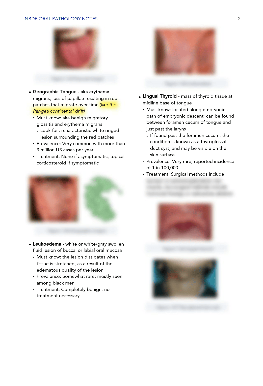 INBDEBooster Oral Pathology.pdf_ddl2x67q3p0_page2