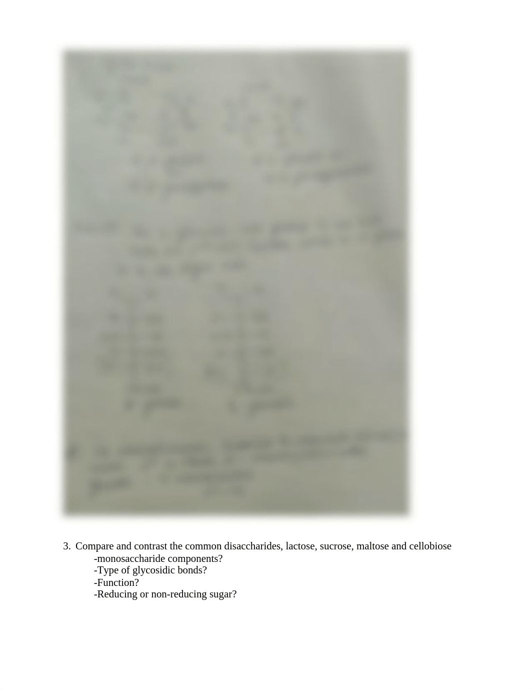 Worksheet-Carbohydrates - 4-899.doc_ddl4ihm6e9y_page5