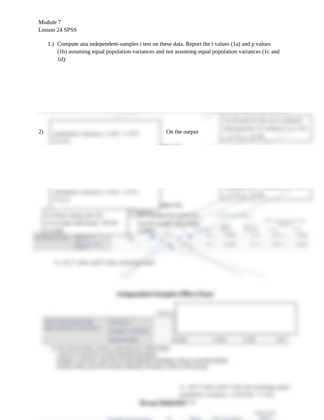 Lesson 24 SPSS.docx_ddl5pgbnh3p_page1