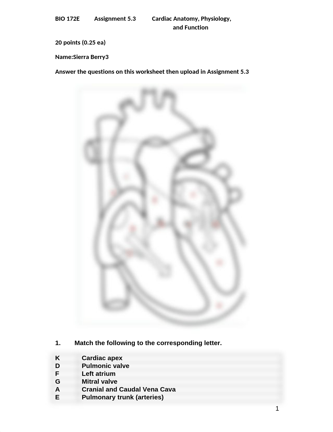 5.3 finished.docx_ddlaf0bowke_page1