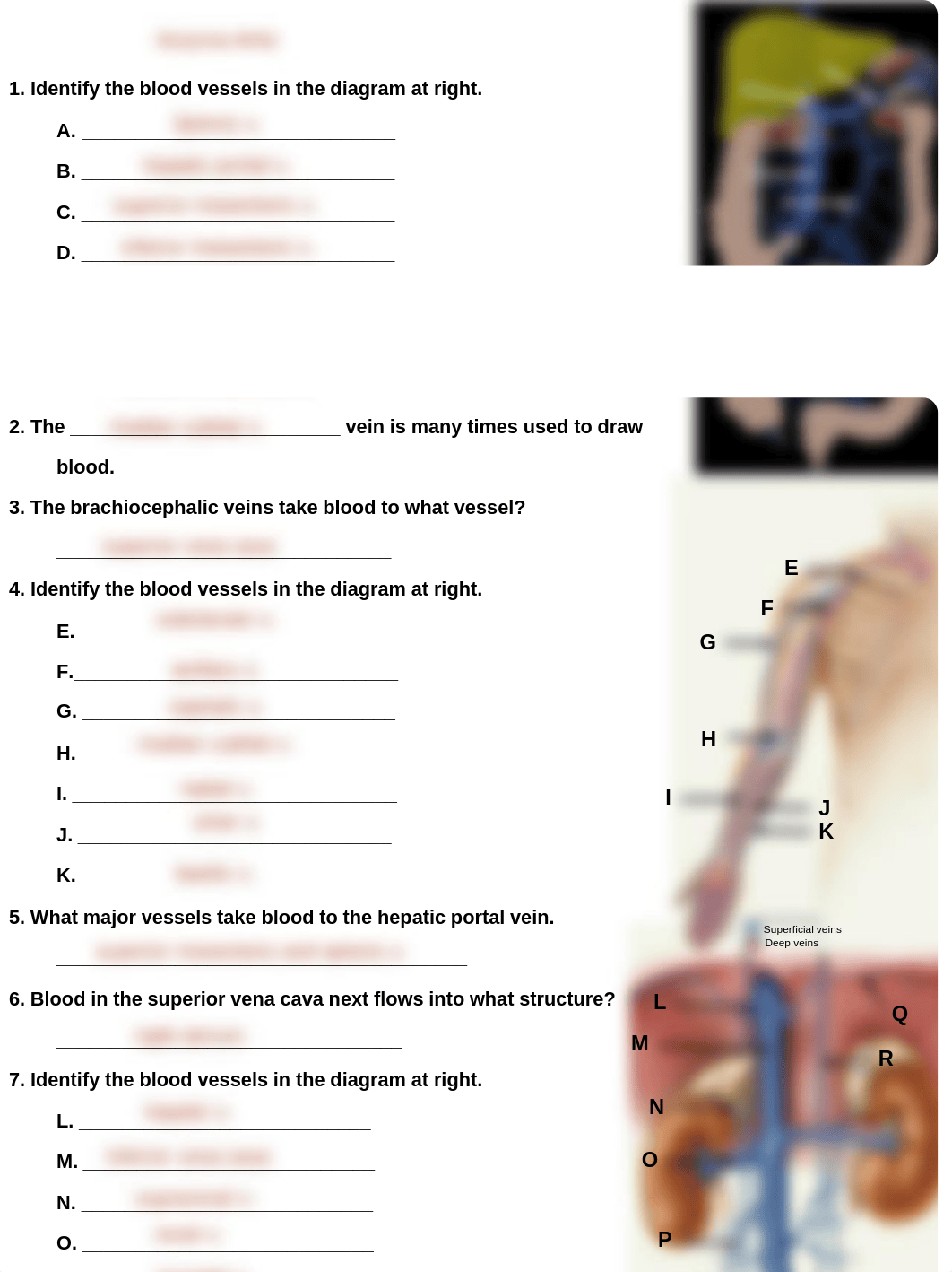 2112 Veins Review.pdf_ddlc2vkj5y9_page1