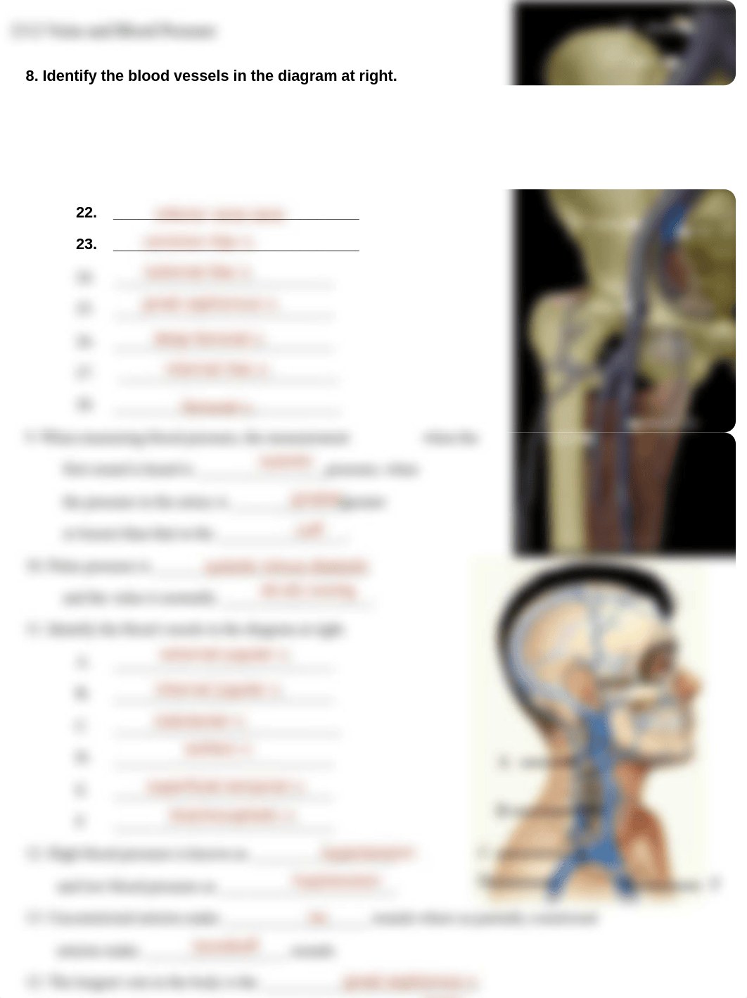 2112 Veins Review.pdf_ddlc2vkj5y9_page2