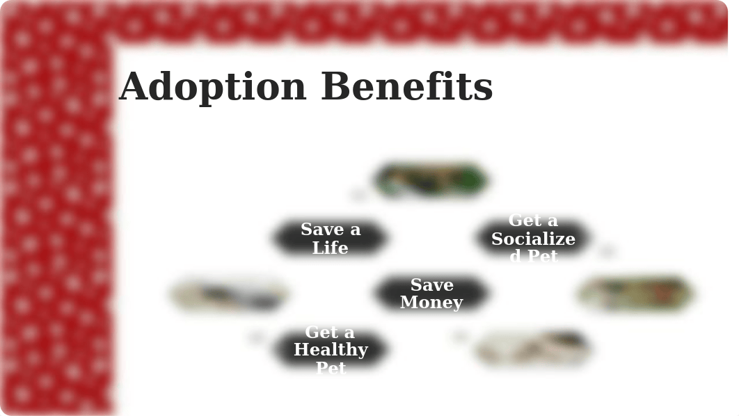 PetAdoption-04.pptx_ddlf56py7bn_page2