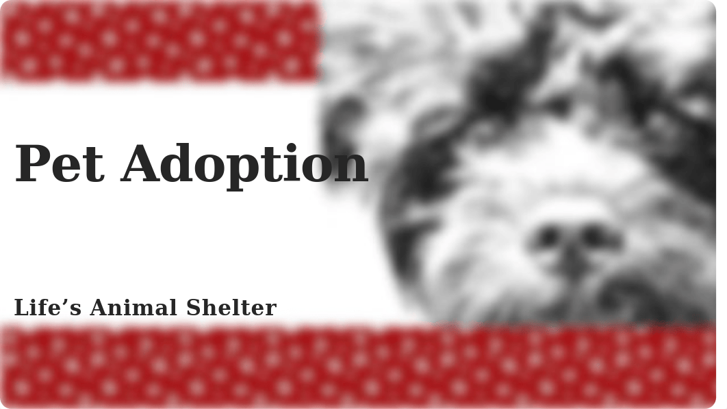 PetAdoption-04.pptx_ddlf56py7bn_page1