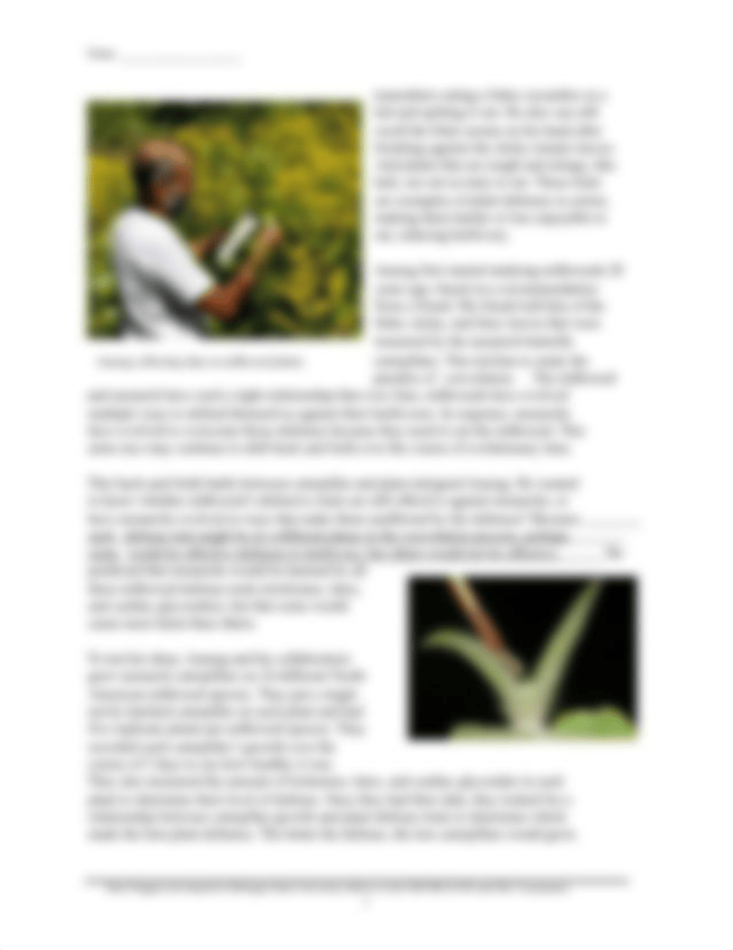 milkweed plants defend against monarch butterflies.docx_ddli9j5j5f5_page2