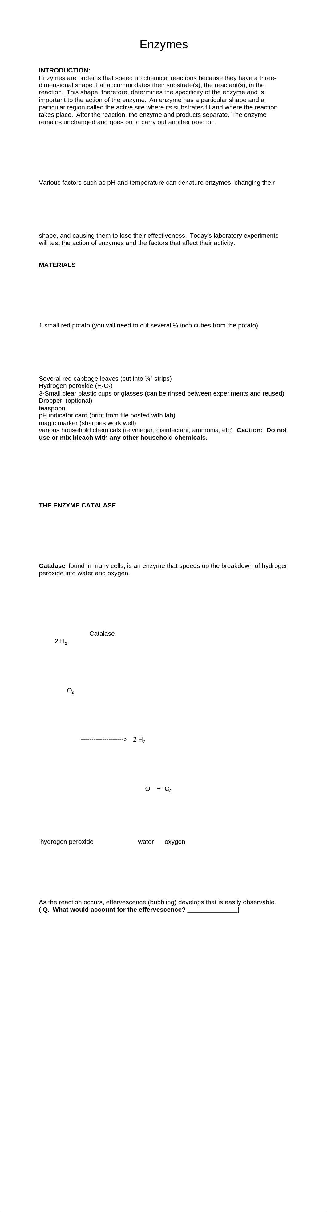 2-14 enzymes_lab_ddlqoqux7at_page1