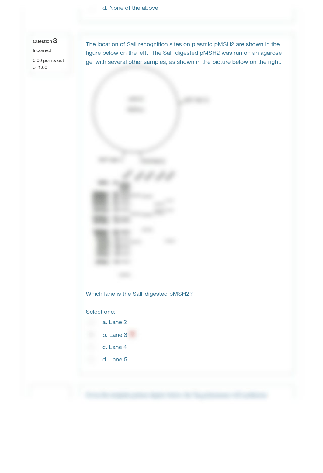 plasmid_PCR_restriction digest.pdf_ddlusodb597_page2