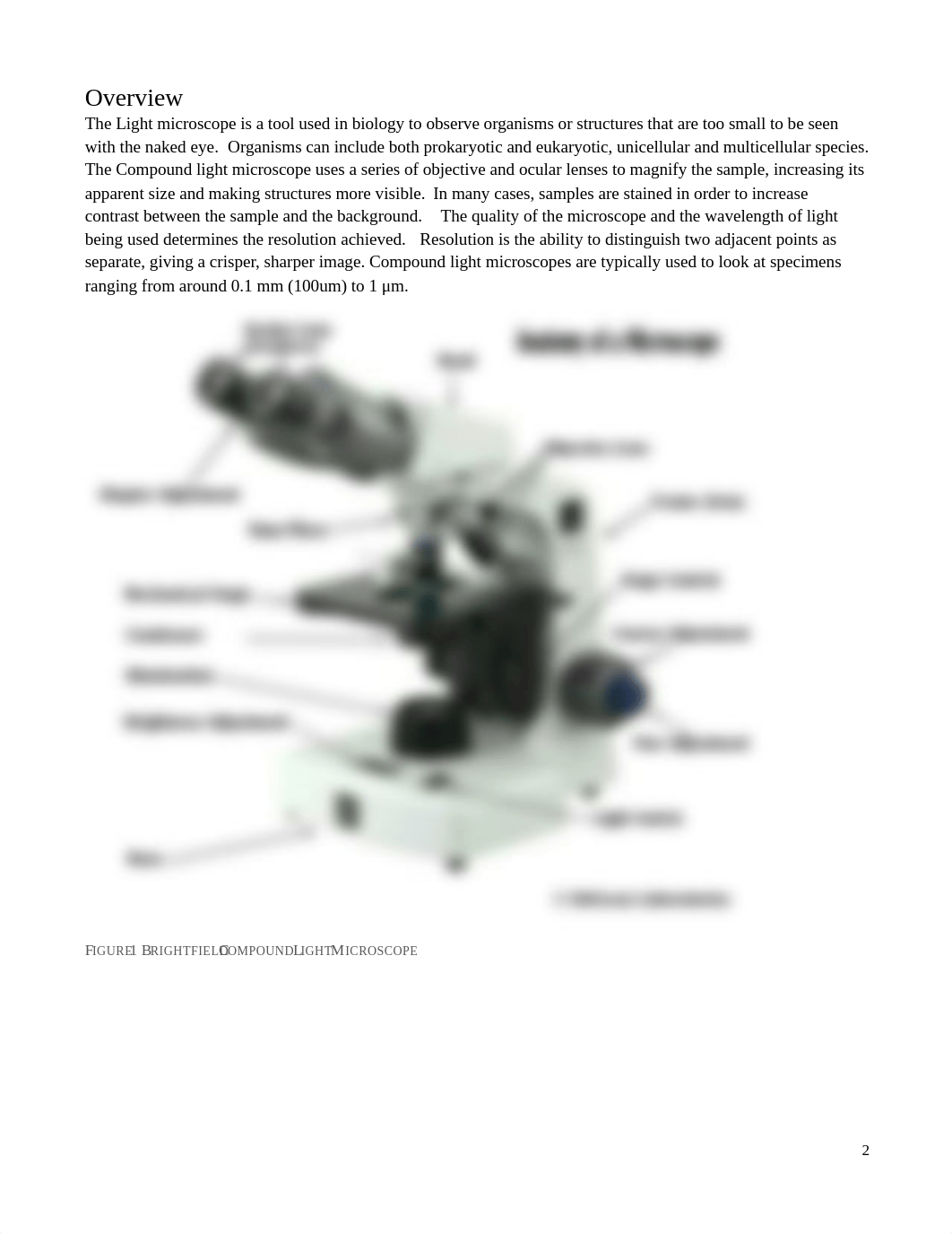 Lab 5 Introduction to Microscopes.pdf_ddlwgok2c31_page2