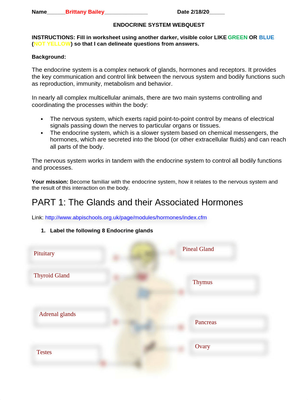 Endocrine System Webquest  (1).doc_ddlzodkukct_page1