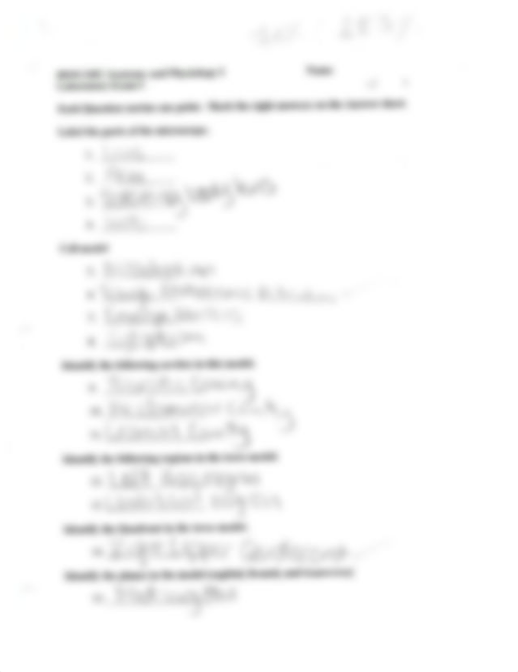 Lab Exam 1 - B.pdf_ddm03s38n5v_page1