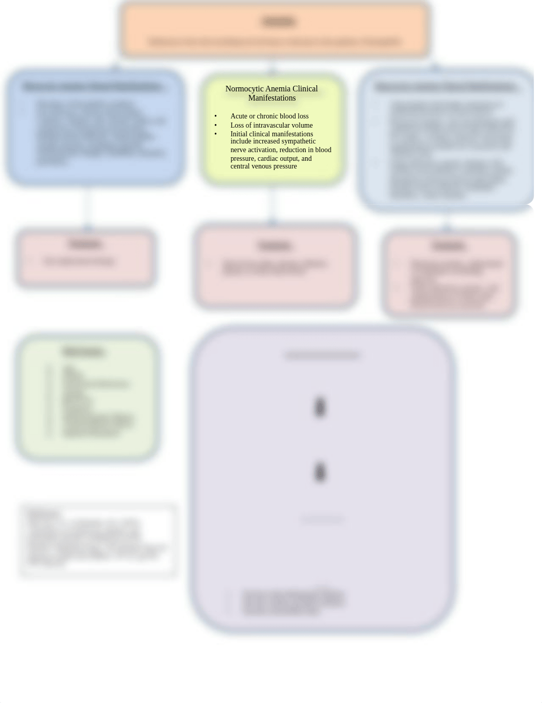 Anemia Concept Map 2.pdf_ddm0z0n270l_page1